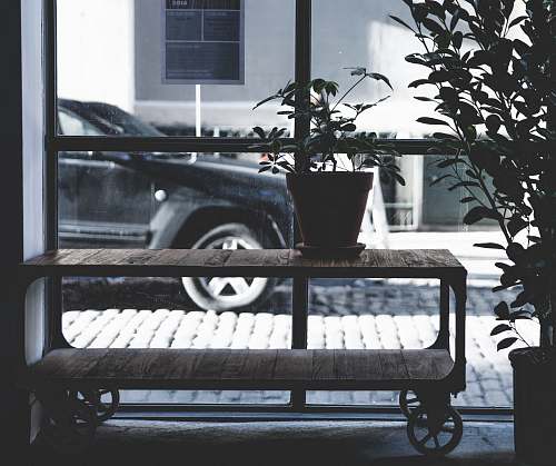 potted plant plant pot on console table street